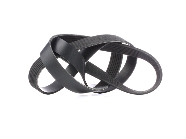 RIDEX Correia do alternador 305P0344