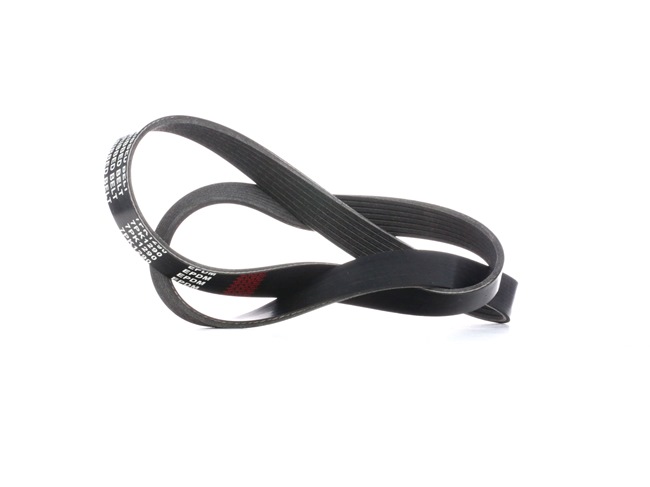 Multiriem (305P0320) van RIDEX Voor VW GOLF III Variant (1H5) 2.9 VR6 Syncro (140 KW / 190 PK / Van 1994)