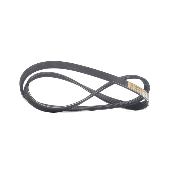 Correia trapezoidal estriada 305P0374 de RIDEX