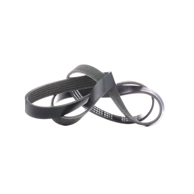 RIDEX Correa trapecial poli V (305P0231) para OPEL Astra H GTC (A04) 1.7 CDTI (L08) (59 KW / 80 CV / de 2005)