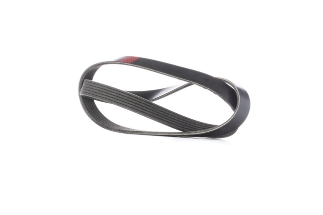 OEM 7700743549 RIDEX Courroie Poly-V 305P0242 pour RENAULT, PEUGEOT, CITROЁN, BMW, AUDI