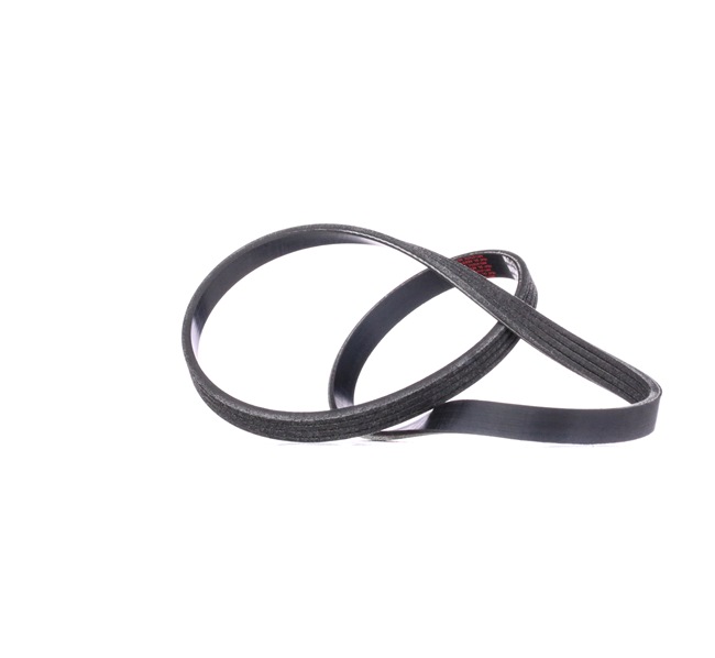 Keilrippenriemen RIDEX 305P0351