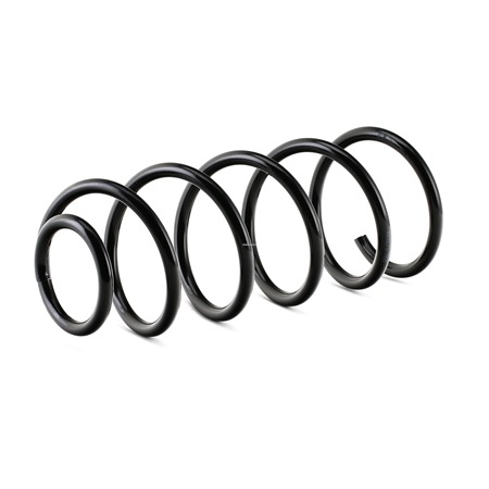 Jousi (auton jousitus) 188C0045 alkaen RIDEX