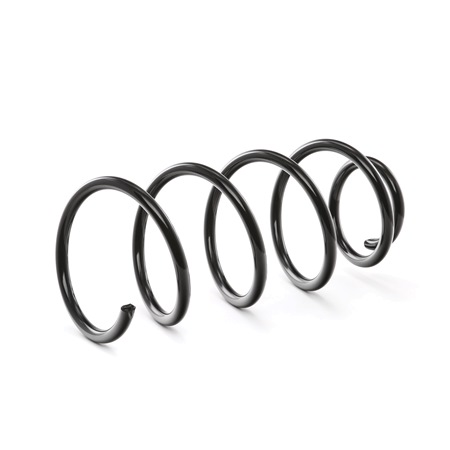 Fjeder RIDEX 188C0213