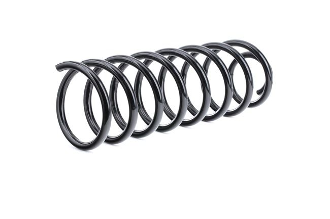 Jousi (auton jousitus) 188C0289 alkaen RIDEX
