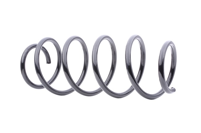 Spiralfedern / Fahrwerksfedern 188C0193 RIDEX