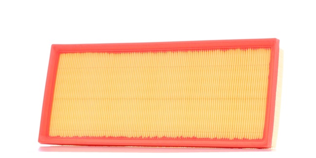 OEM 13712245401 RIDEX  Luftfilter 8A0532 für BMW, FORD, MINI
