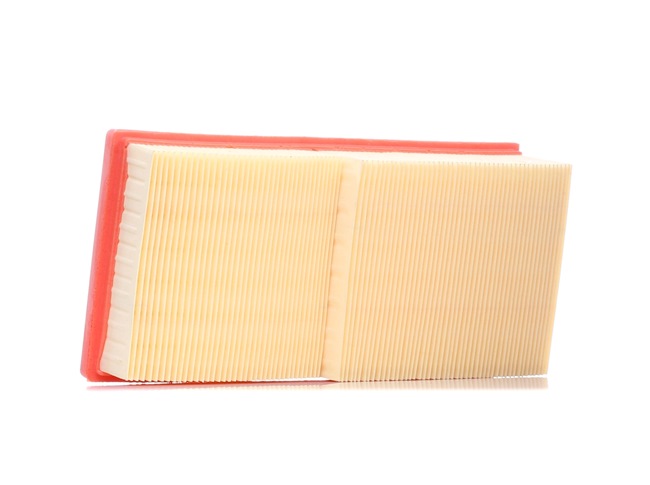 OEM 5098424AB RIDEX  Luftfilter 8A0048 für MERCEDES-BENZ, CHRYSLER