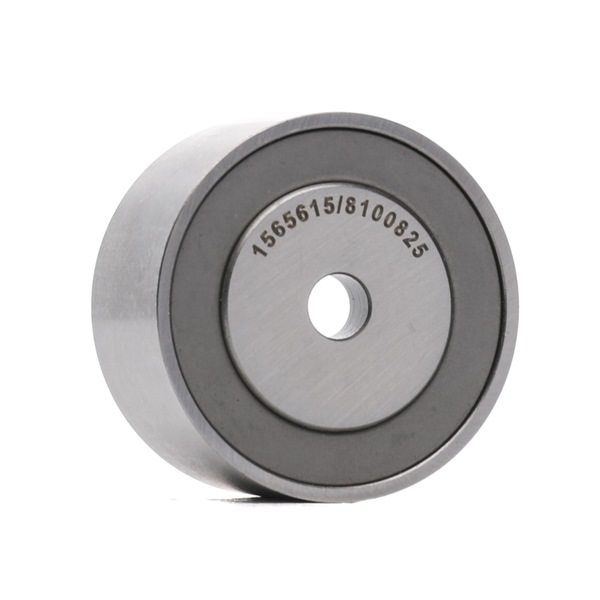 RIDEX Polea tensora, correa poli V (310T0092) para RENAULT Scénic I Monovolumen (JA0/1, FA0) 1.9 dCi RX4 (74 KW / 101 CV / de 2002)