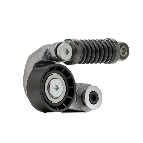 STARK Rolo tensor, correia trapezoidal estriada (SKTP-0600112) para RENAULT MEGANE Scenic (JA0/1_) 1.9 dT (JA0Y) (69 KW / 94 CV / de 1997)