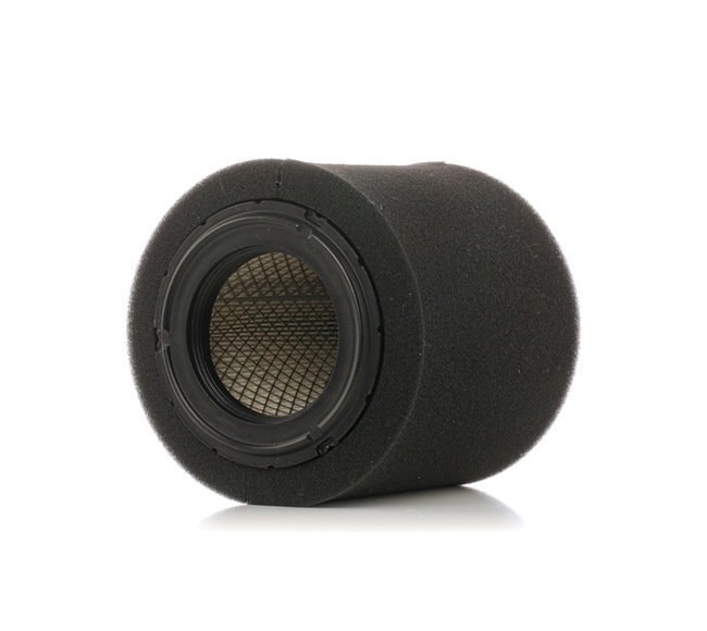 kaufen Luftfilter - STARK (SKAF-0060575)