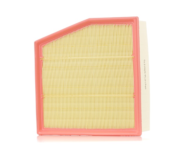 Luftfilter SKAF-0060598 von STARK