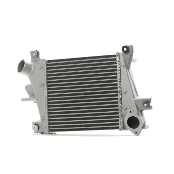 OEM 14461ES61C RIDEX Välijäähdytin 468I0016 varten VOLVO, NISSAN