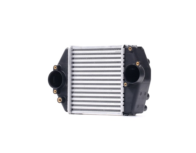 OEM RF5C13565A RIDEX Välijäähdytin 468I0033 varten VOLVO, MAZDA, MERCURY