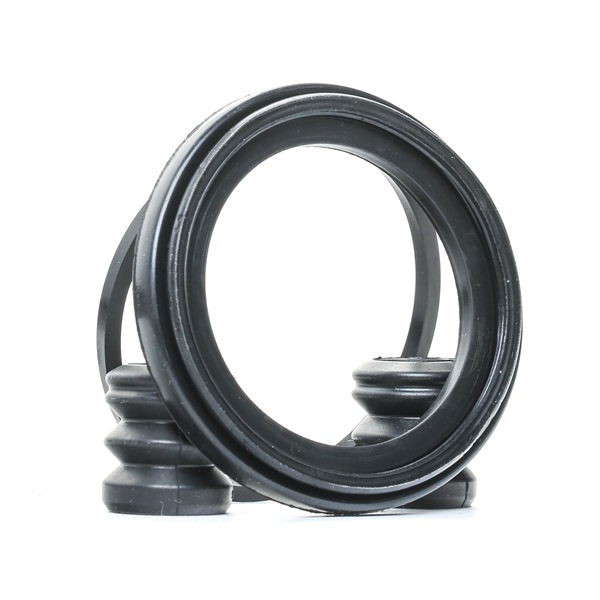 RIDEX Kit di revisione della pinza freno (405R0082) per DAIMLER 2.8 - 5.3 Sedan 3.6 (156 KW / 212 CV / dal 1986)