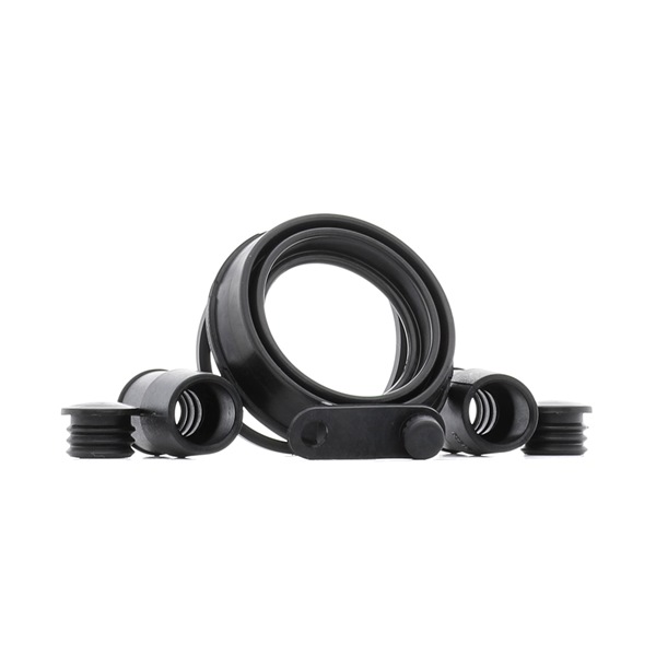 RIDEX Kit di revisione della pinza freno (405R0083) per MINI Cabrio (R52) One (66 KW / 90 CV / dal 2004)