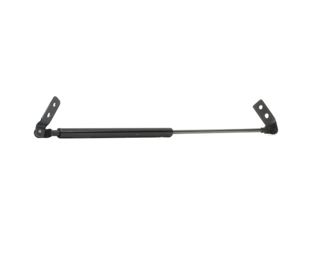 RIDEX Gasdämpare / gasfjäder baklucka 219G0171