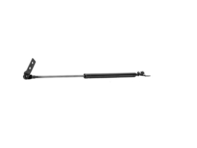 Gasfjäder till baklucka (219G0159) från RIDEX för MAZDA 626 V Hatchback (GF) 2.0 TD (GFFP) 110 HK
