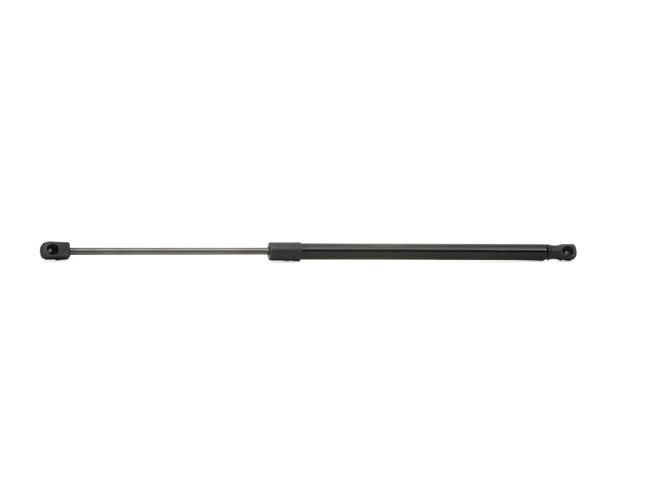 Gasveer achterklep 219G0269 RIDEX