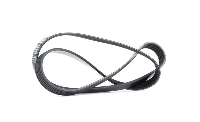 OEM 9091602507 JP GROUP  Keilrippenriemen 1118105200 für VW, SKODA, SEAT, TOYOTA, MITSUBISHI