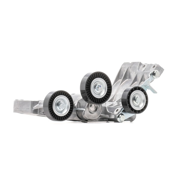 OEM A6402002670 RIDEX Hihnankiristin, moniurahihna 541V0032 varten MERCEDES-BENZ