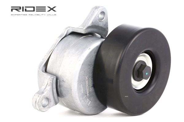 OEM 1099957 RIDEX Hihnankiristin, moniurahihna 541V0021 varten FORD