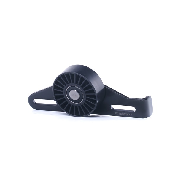 RENAULT CLIO 2020 Spanner, Poly V-riem 540T0024