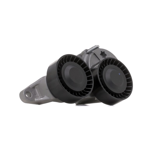 Spanrol, poly V-riem (310T0054) van RIDEX Voor VOLVO V70 II (285) D5 (120 KW / 163 PK / Van 2001)