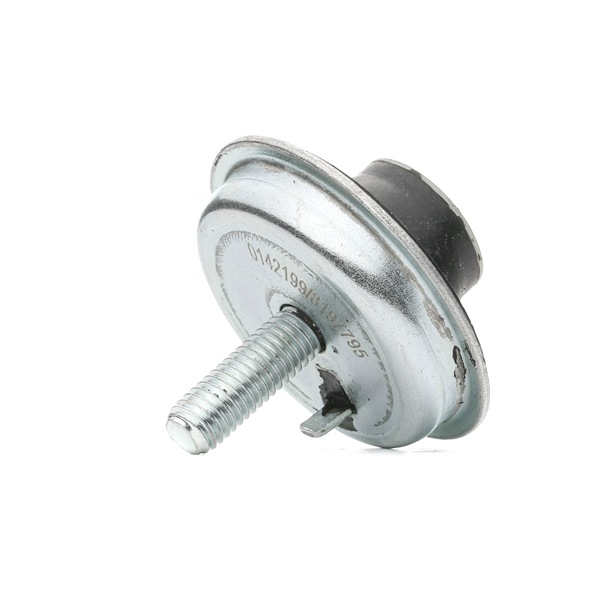 OEM 1844A2 STARK Moottorin tuki SKEM-0660191 varten VW, PEUGEOT, CITROЁN, DS