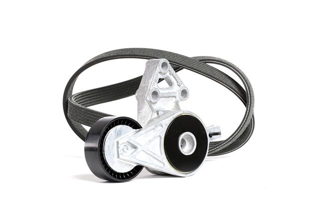VW BORA 2011 Kit Cinghie Poly-V KPV261