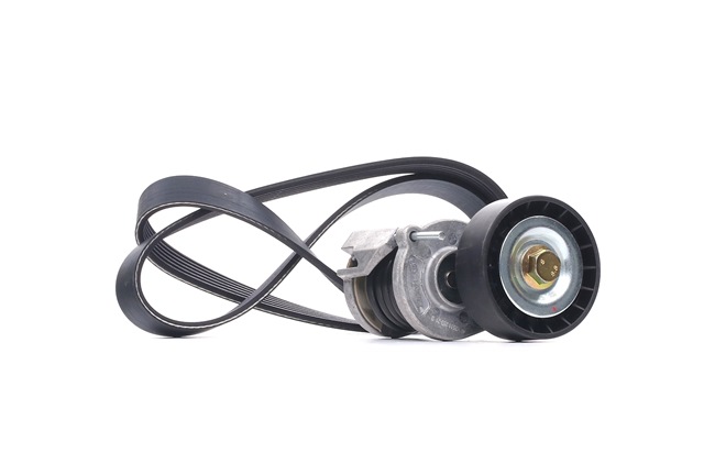 DAYCO Multiriem KPV262