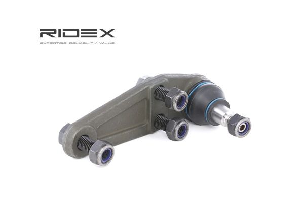 RIDEX 2462S0135: Osta Pallonivel edullisesti verkossa