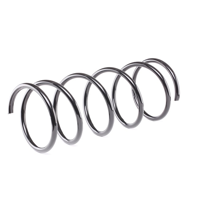 Jousi (auton jousitus) 188C0069 alkaen RIDEX