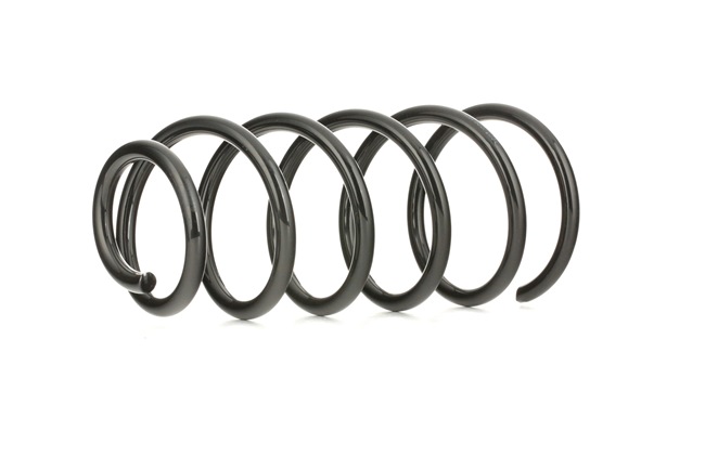 RIDEX Fjeder 188C0076
