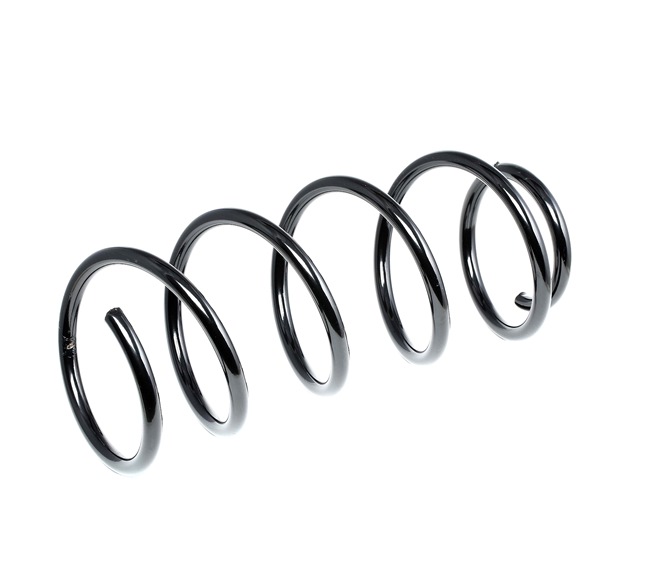 RIDEX Muelles 188C0287