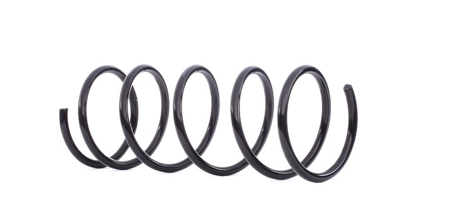 OEM 1003604 RIDEX Coil spring 188C0330 for FORD, MAZDA