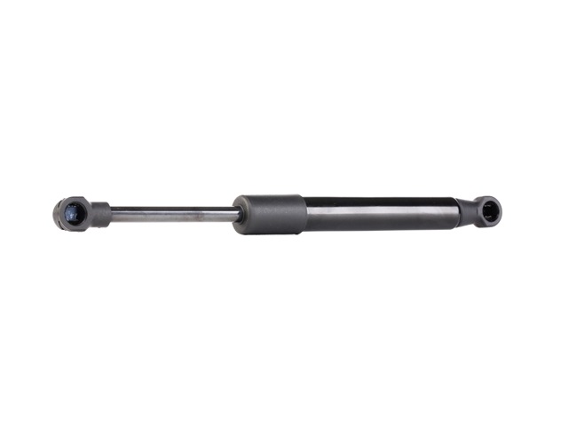 RIDEX Tailgate strut (219G0479) for PORSCHE CAYMAN (987) S 3,4 Sport (223 KW / 303 HP / from 2008)
