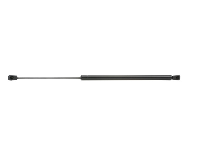 Heckklappendämpfer 219G0394 preiswert von RIDEX