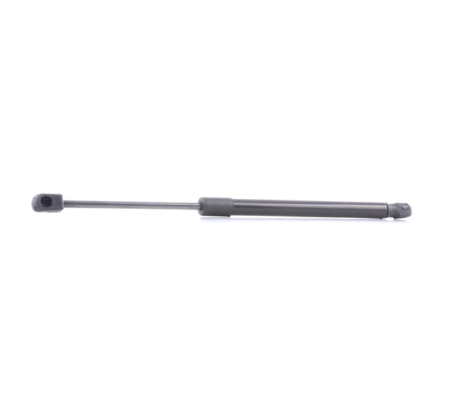 RIDEX Gas struts (tailgate struts) 219G0507