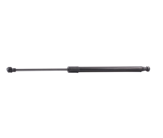 Gasdemper, Achterruit RIDEX 219G0463