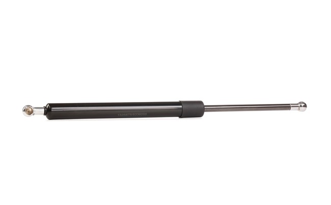 RIDEX Heckklappendämpfer (219G0530) für RENAULT Scénic I (JA0/1_, FA0_) 1.9 dCi RX4 (74 KW / 101 PS / ab 2002)