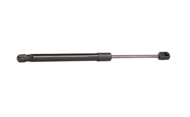 Heckklappendämpfer RIDEX 219G0519