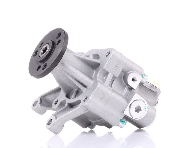 OEM 1141567 STARK Pompe de direction assistée SKHP-0540121 pour RENAULT, BMW