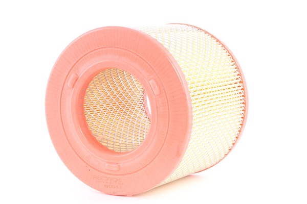 RIDEX Luftfilter 8A0541