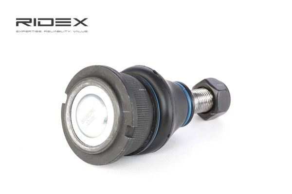 RIDEX Bærekugle 2462S0109