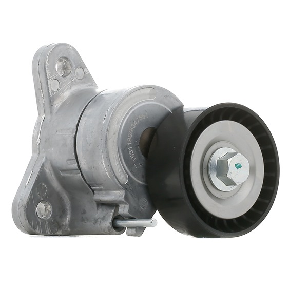 RIDEX Strammerull 310T0251