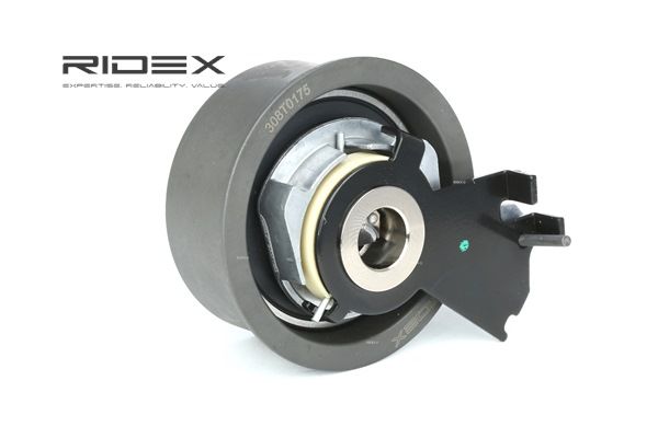 OEM 2441023050 RIDEX Rullo tenditore, cinghia dentata 308T0175 per HYUNDAI, KIA