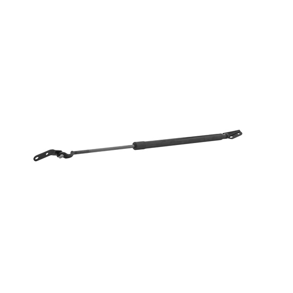 kaufen Heckklappendämpfer - STARK (SKGS-0220757)