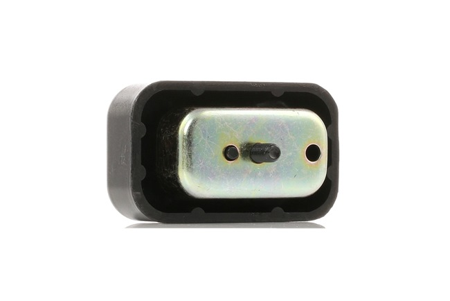 JIMNY Suporte, suspensão do motor 00651898 TEDGUM