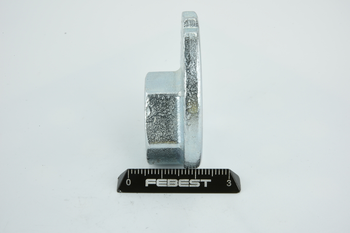 LEXUS RX (MHU3_, GSU3_, MCU3_) 330 (MCU38_) Caster Shim, axle beam 0131-004